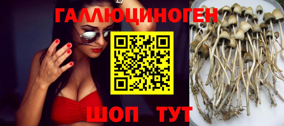 Псилоцибиновые грибы Cubensis  Галлюциногенные грибы мицелий  Вход с VPN  Нижневартовск 
